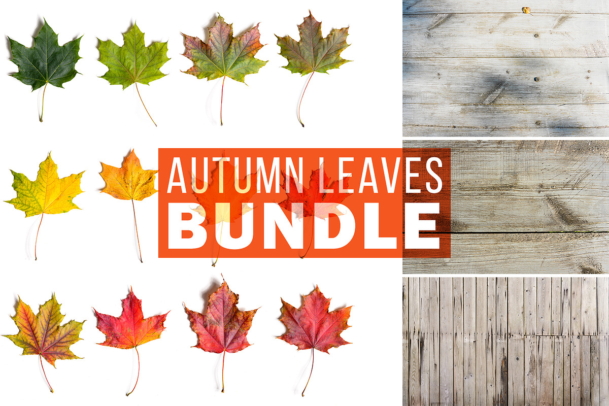 Autumn Leaves Bundle in Product Mockups - product preview 8