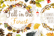 Fall In Forest Watercolor Clip Art