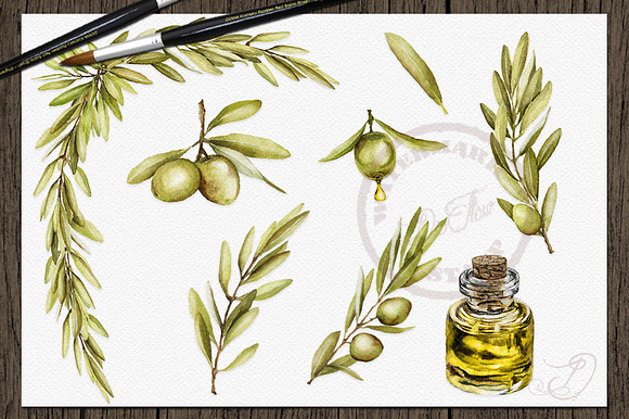 Green Olive Watercolor Clip Art in Illustrations - product preview 1