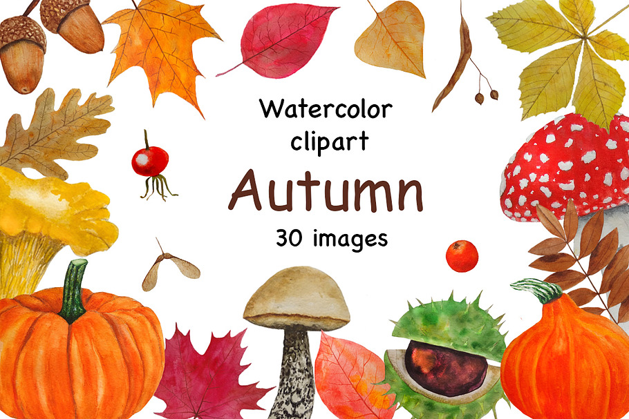 Autumn Clipart Watercolor in Illustrations - product preview 8