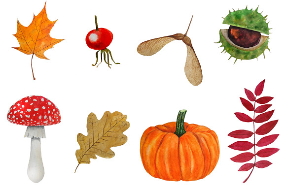 Autumn Clipart Watercolor in Illustrations - product preview 1