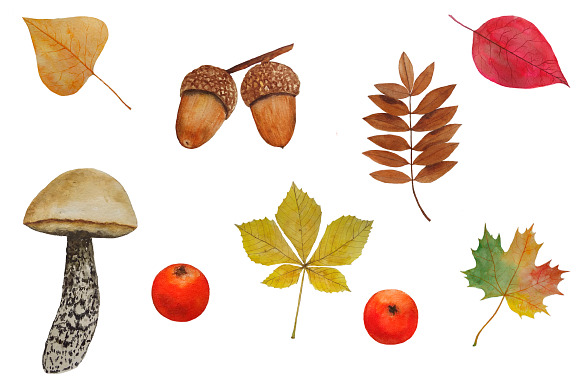 Autumn Clipart Watercolor in Illustrations - product preview 2