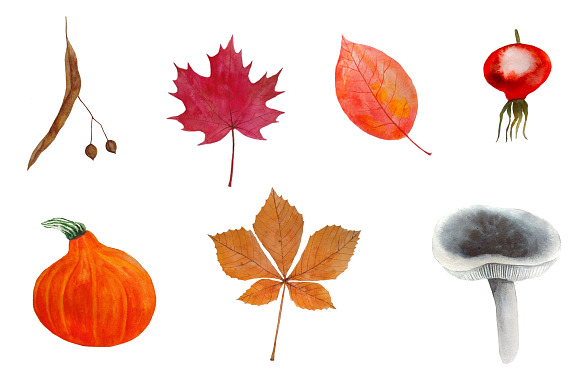 Autumn Clipart Watercolor in Illustrations - product preview 3
