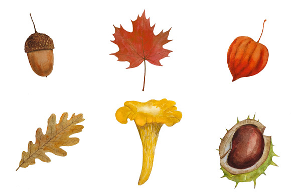Autumn Clipart Watercolor in Illustrations - product preview 4