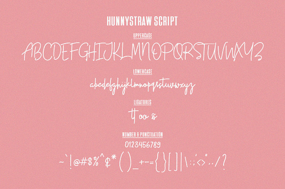 Hunny Straw Font - Free Sans in Script Fonts - product preview 6