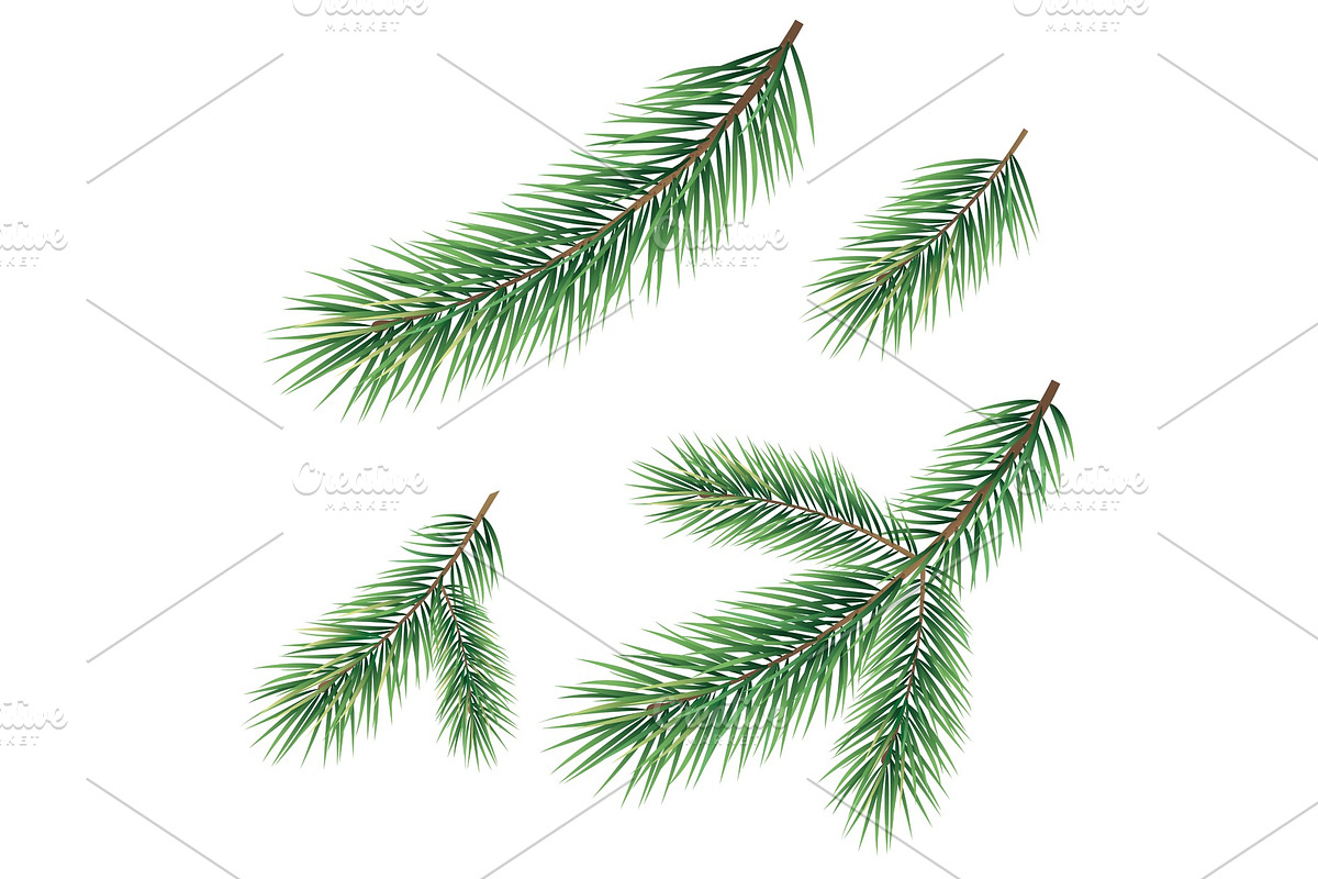 Christmas tree green branches set in Objects - product preview 8