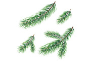 Christmas tree green branches set