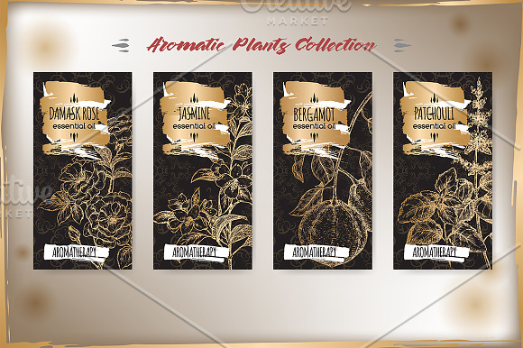 Aromatic plants sketch set Vol. 1 in Illustrations - product preview 2