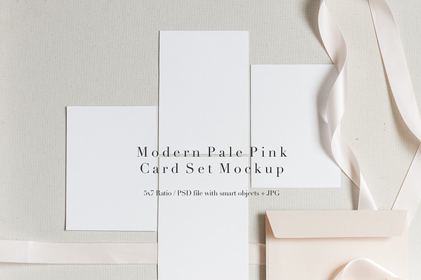 Modern Pale Pink Card Set Mockup