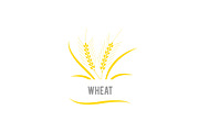 Wheat seed food cereal brew