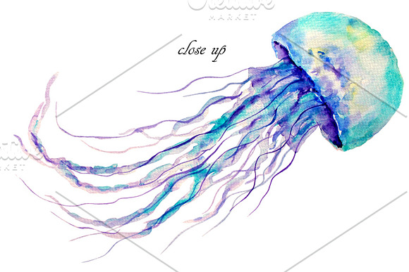 Watercolor clipart Jellyfish in Illustrations - product preview 1