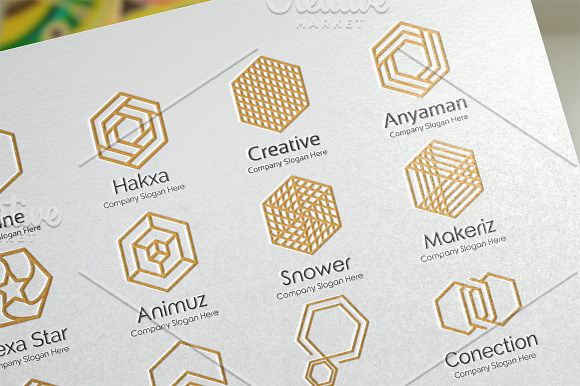 Hexagon Logo Premade, Big Bundle in Logo Templates - product preview 8