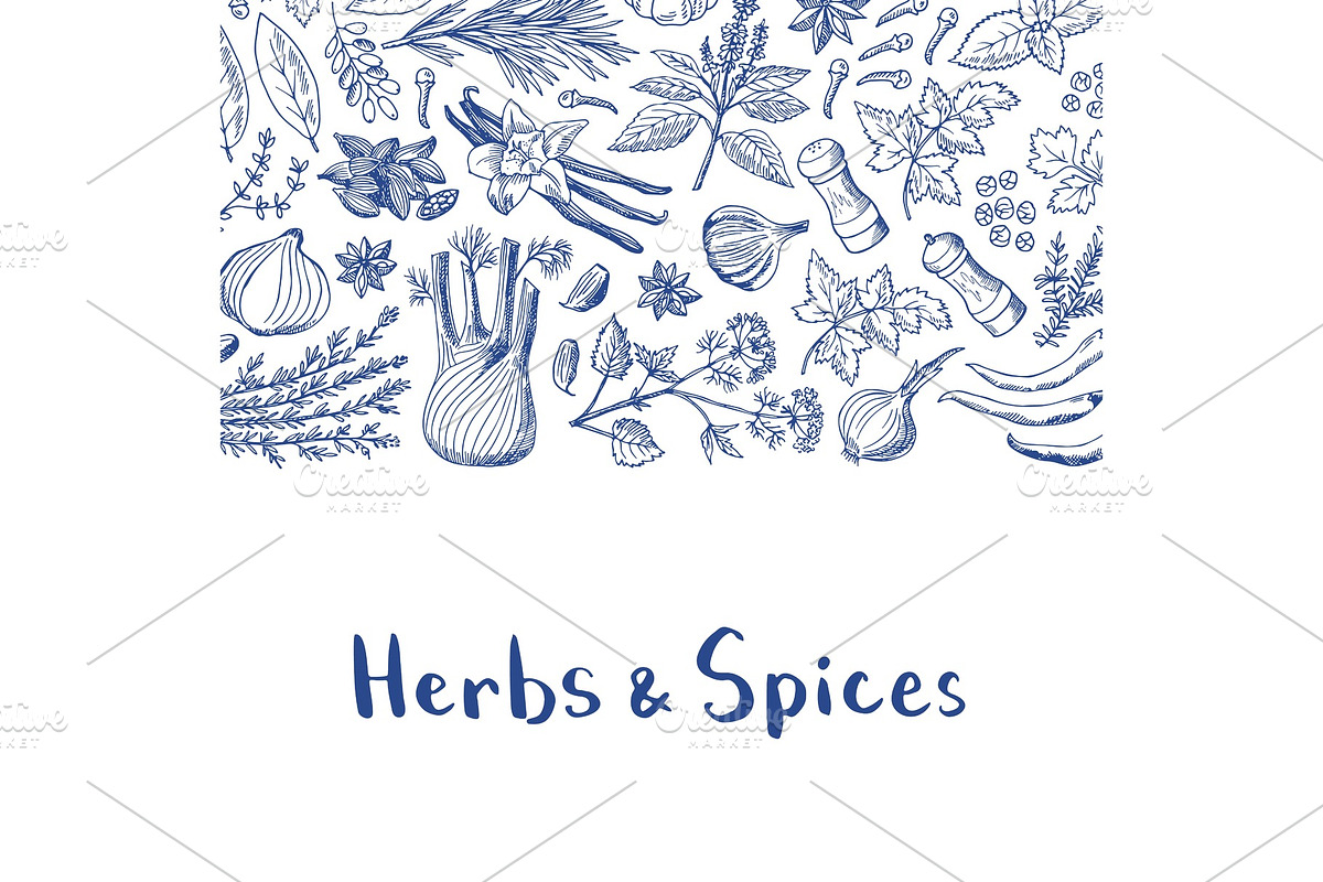 Vector hand drawn herbs and spices in Graphics - product preview 8