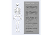 Human Skeleton Text Banner Vector