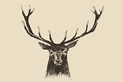 Illustration of a deer head