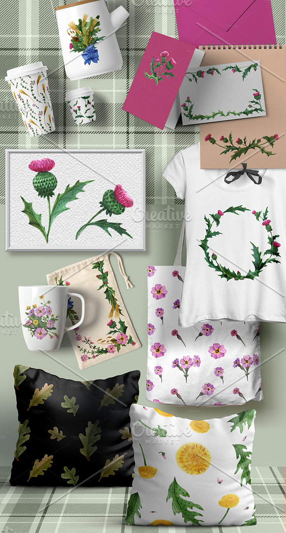 Plants of Scotland. Watercolor in Illustrations - product preview 5