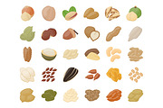 55 Nuts Flat Icons