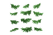 Christmas tree green branches set