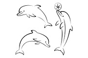 Dolphins and Ball Contours