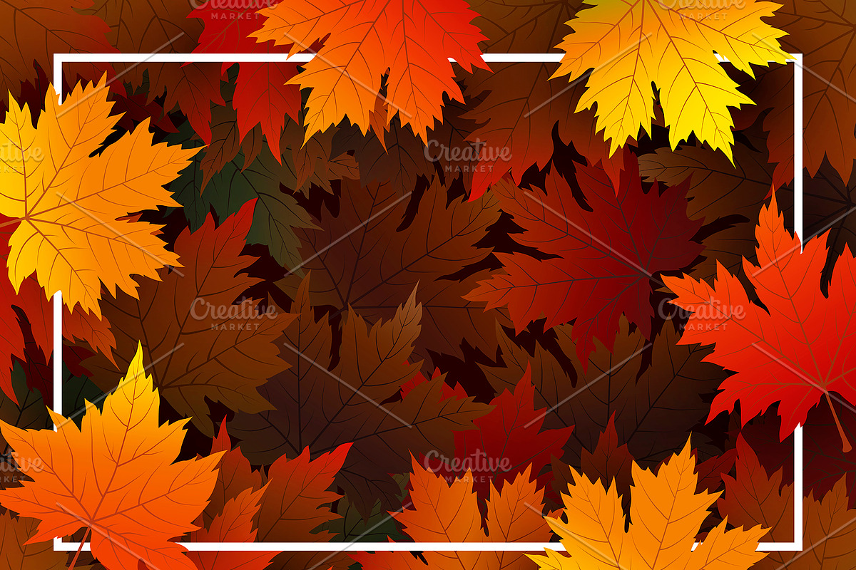 Autumn leaves background in Illustrations - product preview 8