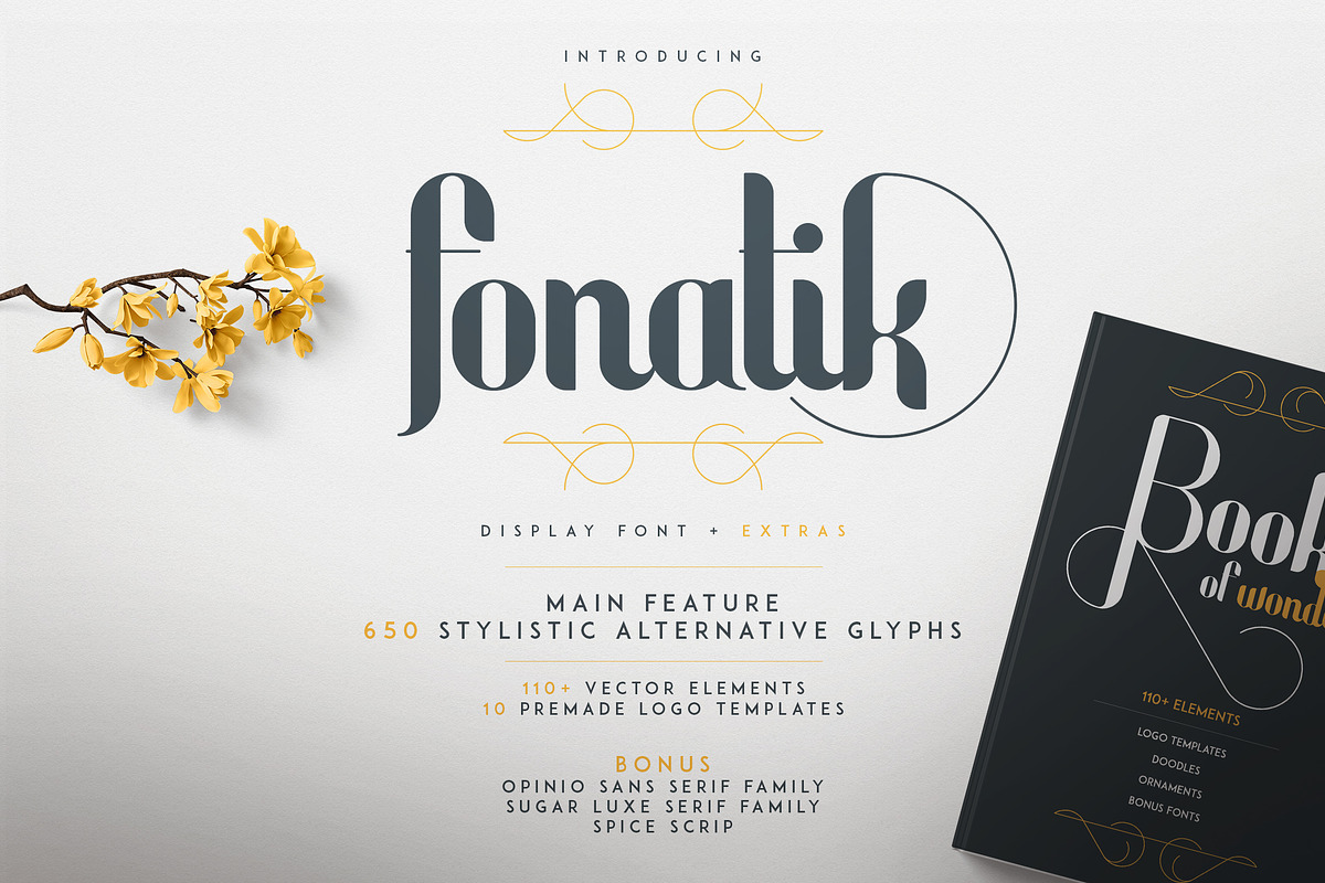 Fonatik Display font + Extras in Display Fonts - product preview 8