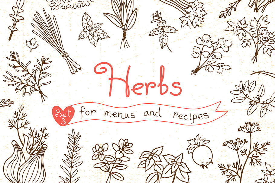 Herbs - Design Set in Illustrations - product preview 8