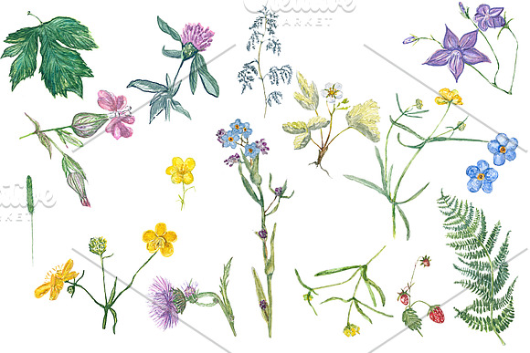 Watercolor grass and wildflowers in Objects - product preview 4