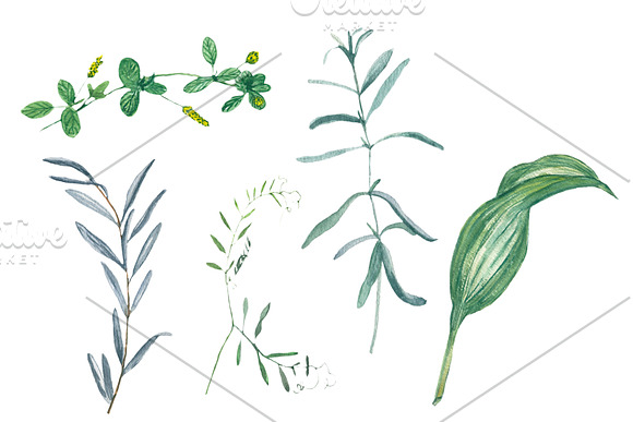 Watercolor grass and wildflowers in Objects - product preview 5