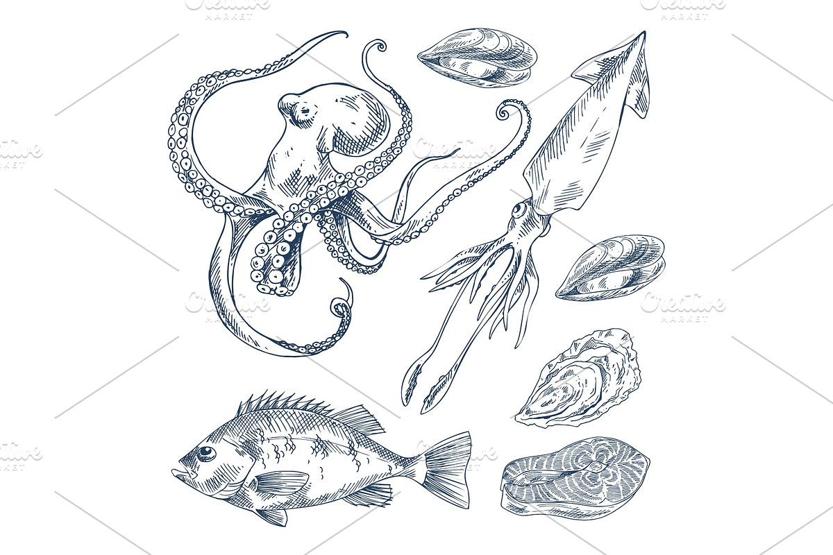 Fish and Marine Creatures as Seafood in Illustrations - product preview 8