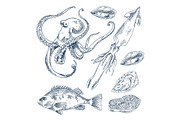Fish and Marine Creatures as Seafood