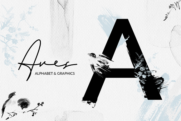 Aves - Alphabet & Graphics in Objects - product preview 2