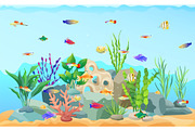 Sea Plants and Limless Animals