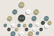 Flowchart, organigram infographic.