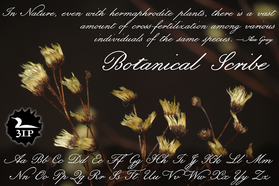 Botanical Scribe