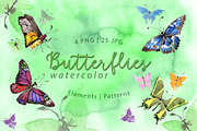 Exotic butterflies PNG watercolor
