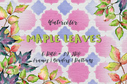 Maple colorful leaves PNG watercolor