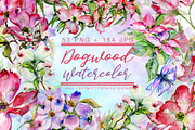 Cool dogwood colorful flower PNG set