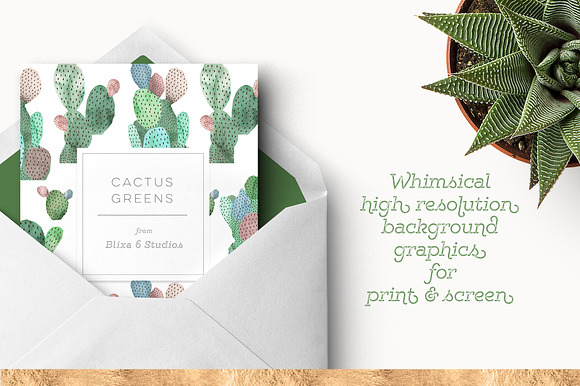 36 Painted Desert & Cactus in Patterns - product preview 7