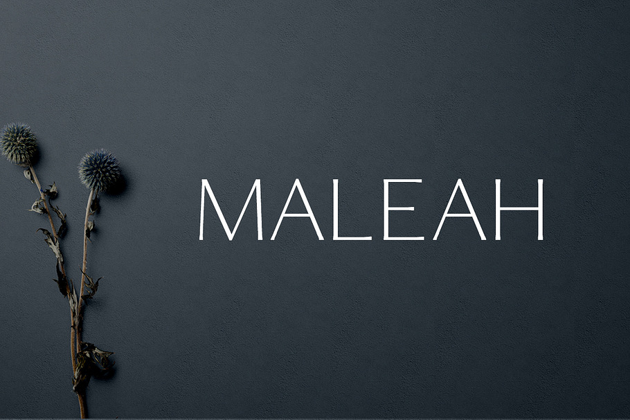 Maleah Sans Serif 4 Font Family Pack in Text Fonts - product preview 8
