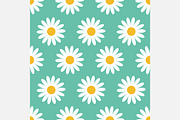 White daisy. Seamless Pattern set. 