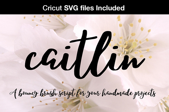 Caitlin script + Cricut SVG Files in Script Fonts - product preview 5