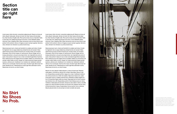 Swiss Minimal InDesign Magazine in Magazine Templates - product preview 3