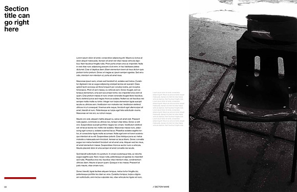 Swiss Minimal InDesign Magazine in Magazine Templates - product preview 4