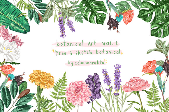 Colored Botanical Illustration Vol.1 in Illustrations - product preview 5