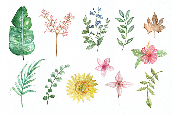 Watercolor Botanical & Texture Vol.1 in Illustrations - product preview 6
