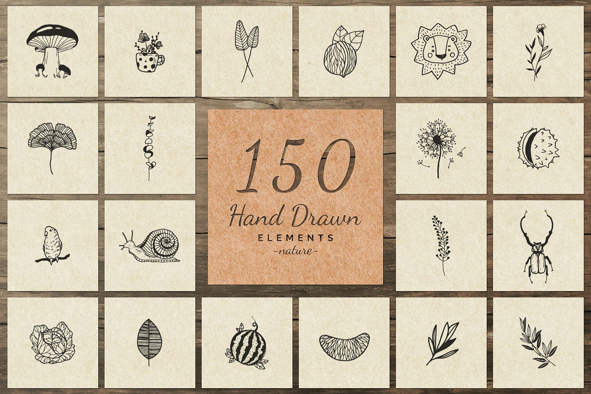 150 Hand Drawn Elements -Nature III- in Illustrations - product preview 8