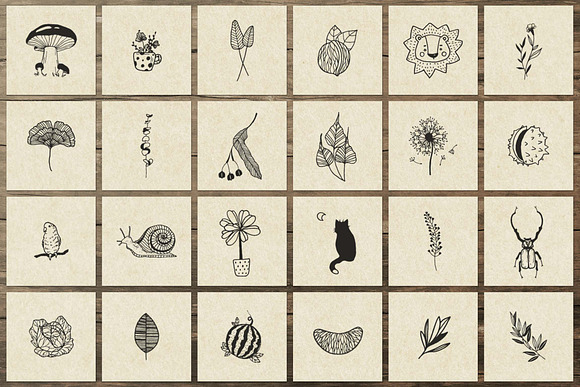 150 Hand Drawn Elements -Nature III- in Illustrations - product preview 1