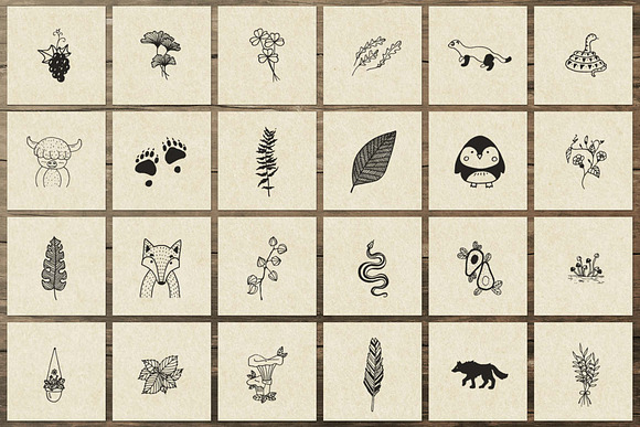 150 Hand Drawn Elements -Nature III- in Illustrations - product preview 4