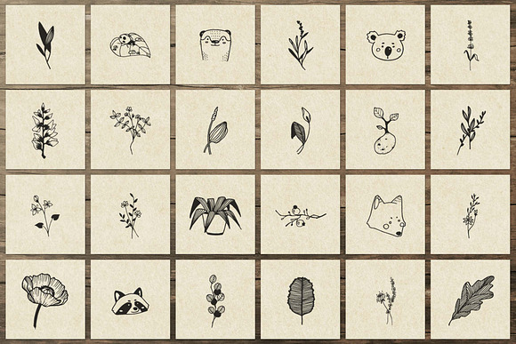 150 Hand Drawn Elements -Nature III- in Illustrations - product preview 6