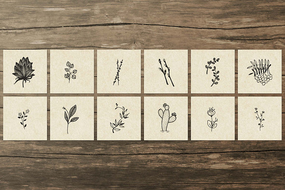 150 Hand Drawn Elements -Nature III- in Illustrations - product preview 7